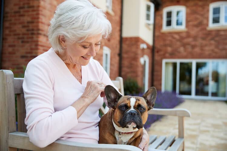 Senior woman sitting on bench with her pet French bulldog.