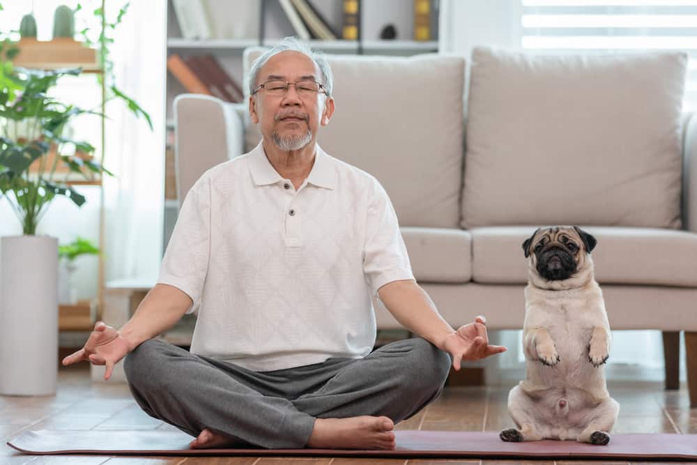 A senior man and a dog practicing meditation