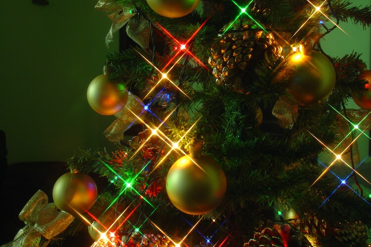 Christmas tree with lights