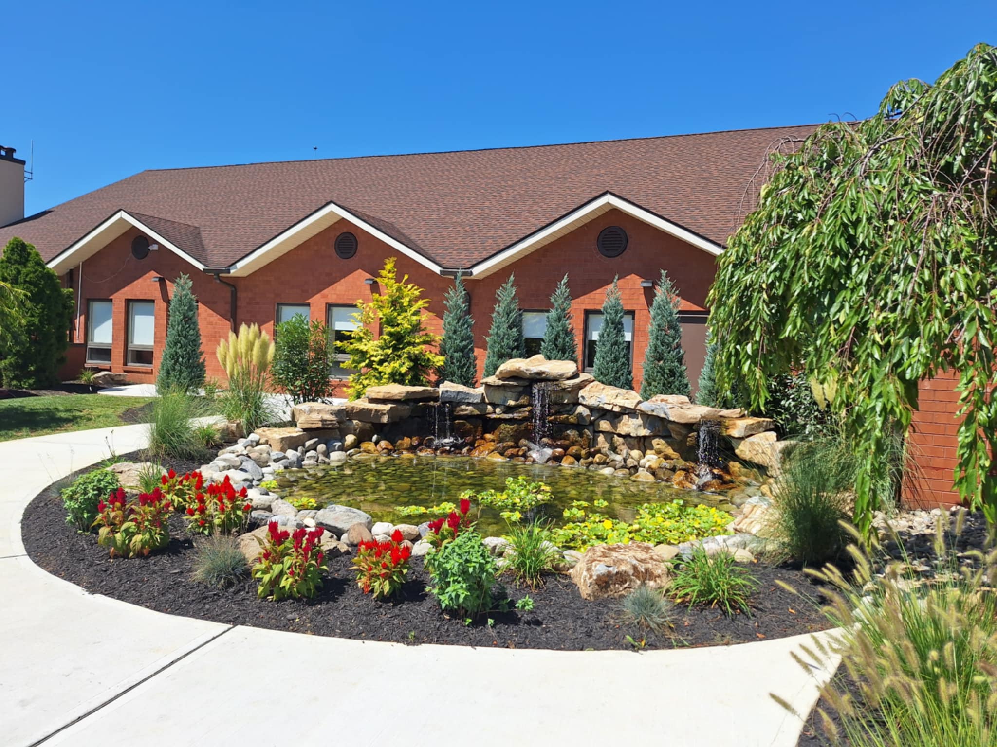 Koi Pond
