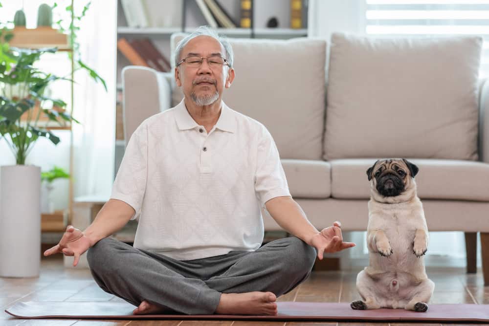 A senior man and dog on the ground, with eyes closed, practicing meditation