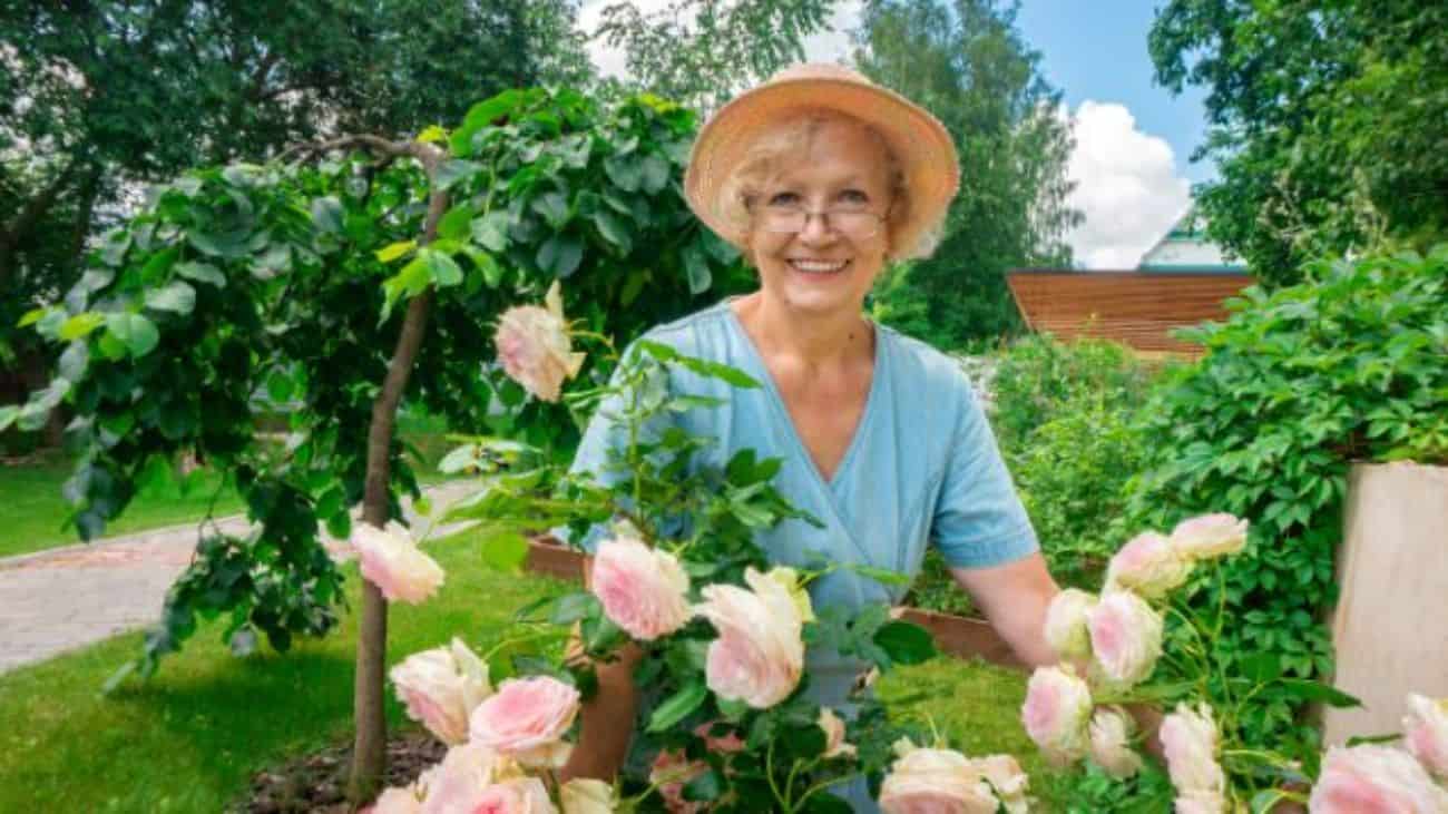 Natural Mood Boosters